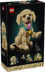 LEGO ICONS 11384 2szt golden retriever