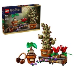 LEGO HARRY POTTER 76474 Rośliny Hogwart