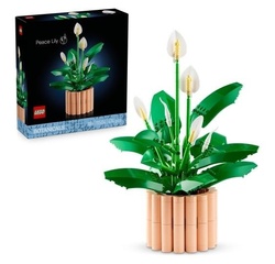 LEGO BOTANICALS 11504 Skrzydłokwiat